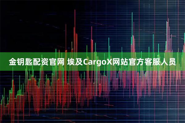 金钥匙配资官网 埃及CargoX网站官方客服人员