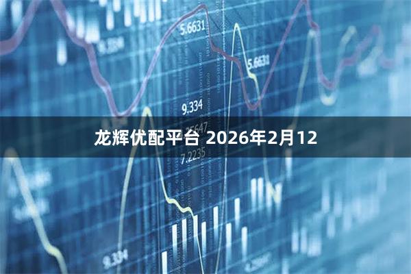 龙辉优配平台 2026年2月12