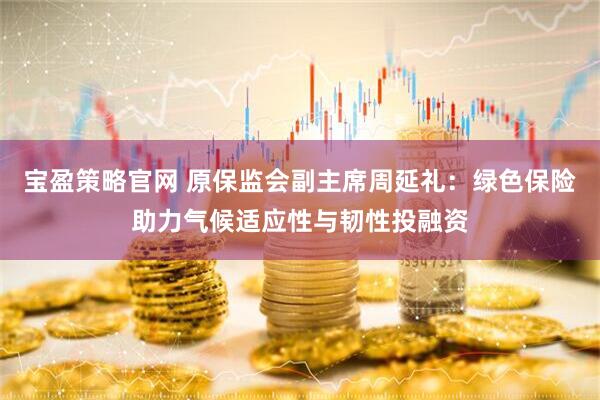 宝盈策略官网 原保监会副主席周延礼：绿色保险助力气候适应性与韧性投融资