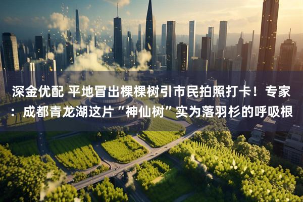 深金优配 平地冒出棵棵树引市民拍照打卡！专家：成都青龙湖这片“神仙树”实为落羽杉的呼吸根