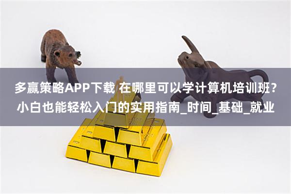 多赢策略APP下载 在哪里可以学计算机培训班？小白也能轻松入门的实用指南_时间_基础_就业